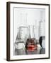 Variety of flasks-Kristopher Grunert-Framed Photographic Print