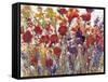 Variety of Flowers I-Tim O'toole-Framed Stretched Canvas