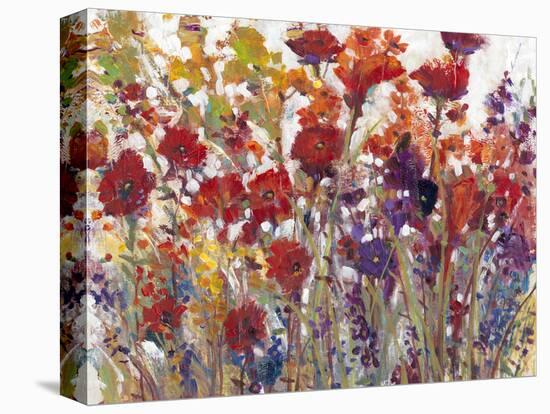 Variety of Flowers I-Tim O'toole-Stretched Canvas