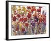 Variety of Flowers I-Tim O'toole-Framed Art Print