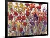 Variety of Flowers I-Tim O'toole-Framed Art Print