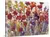 Variety of Flowers I-Tim O'toole-Stretched Canvas