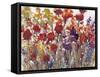 Variety of Flowers I-Tim O'toole-Framed Stretched Canvas