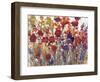 Variety of Flowers I-Tim O'toole-Framed Art Print