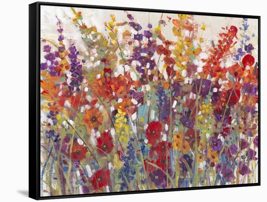 Variety of Flowers II-Tim O'toole-Framed Stretched Canvas