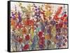 Variety of Flowers II-Tim O'toole-Framed Stretched Canvas