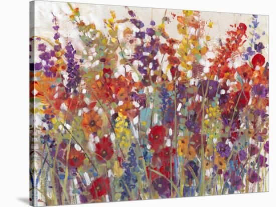Variety of Flowers II-Tim O'toole-Stretched Canvas