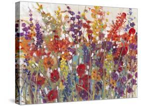 Variety of Flowers II-Tim O'toole-Stretched Canvas