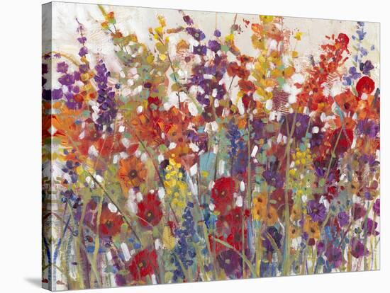 Variety of Flowers II-Tim O'toole-Stretched Canvas