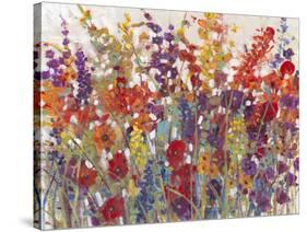 Variety of Flowers II-Tim O'toole-Stretched Canvas