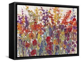 Variety of Flowers II-Tim O'toole-Framed Stretched Canvas