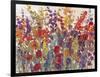 Variety of Flowers II-Tim O'toole-Framed Art Print