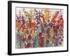 Variety of Flowers II-Tim OToole-Framed Art Print