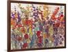 Variety of Flowers II-Tim OToole-Framed Art Print