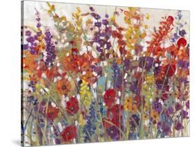 Variety of Flowers II-Tim OToole-Stretched Canvas