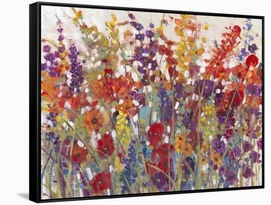 Variety of Flowers II-Tim OToole-Framed Stretched Canvas