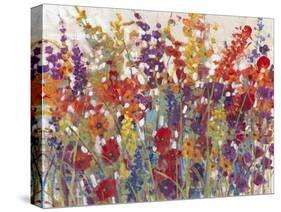 Variety of Flowers II-Tim OToole-Stretched Canvas