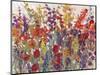 Variety of Flowers II-Tim OToole-Mounted Art Print