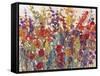 Variety of Flowers II-Tim OToole-Framed Stretched Canvas