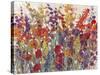 Variety of Flowers II-Tim OToole-Stretched Canvas