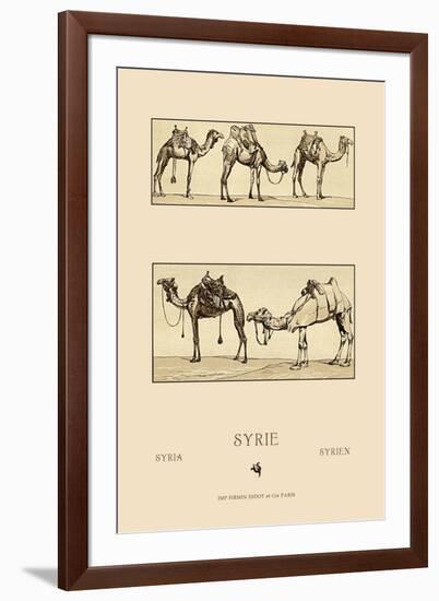 Variety of Howdahs from Syria-Racinet-Framed Art Print