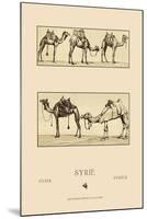 Variety of Howdahs from Syria-Racinet-Mounted Art Print