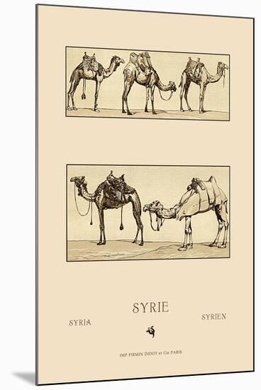 Variety of Howdahs from Syria-Racinet-Mounted Art Print