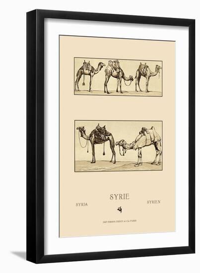 Variety of Howdahs from Syria-Racinet-Framed Art Print