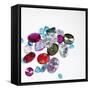 Variety of Jewels-null-Framed Stretched Canvas