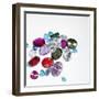 Variety of Jewels-null-Framed Photographic Print