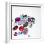 Variety of Jewels-null-Framed Photographic Print