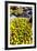 Variety of Olives in Carmel Market-Richard T. Nowitz-Framed Photographic Print