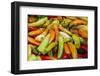 Variety of peppers.-Tom Haseltine-Framed Photographic Print