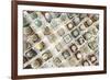 Variety of Small Beautiful Cactus in the Pot-David Ryo-Framed Photographic Print