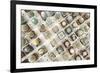 Variety of Small Beautiful Cactus in the Pot-David Ryo-Framed Photographic Print