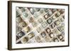 Variety of Small Beautiful Cactus in the Pot-David Ryo-Framed Photographic Print