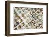 Variety of Small Beautiful Cactus in the Pot-David Ryo-Framed Photographic Print