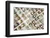 Variety of Small Beautiful Cactus in the Pot-David Ryo-Framed Photographic Print