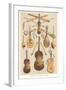 Variety of Stringed Instruments-null-Framed Art Print