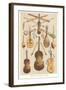 Variety of Stringed Instruments-null-Framed Art Print