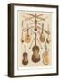 Variety of Stringed Instruments-null-Framed Art Print