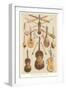 Variety of Stringed Instruments-null-Framed Art Print