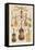 Variety of Stringed Instruments-null-Framed Stretched Canvas