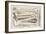 Variety of Surgical Instruments-J. Mynde-Framed Art Print