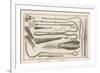 Variety of Surgical Instruments-J. Mynde-Framed Premium Giclee Print