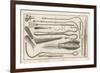 Variety of Surgical Instruments-J. Mynde-Framed Premium Giclee Print