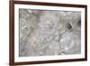 Variety of white flower designs made from cut paper. New York City, New York, USA-Julien McRoberts-Framed Photographic Print