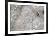 Variety of white flower designs made from cut paper. New York City, New York, USA-Julien McRoberts-Framed Photographic Print