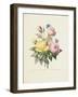 Variety of Yellow Roses and Bengal Roses-Pierre Joseph Redout?-Framed Giclee Print