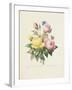 Variety of Yellow Roses and Bengal Roses-Pierre Joseph Redout?-Framed Giclee Print